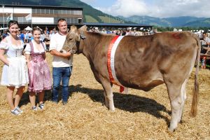 Miss Rind Ybrig Amir Arve Josef Kryenbhl Waagtalstr. Unteriberg